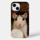 Buscar rata iphone fundas 4 º rata