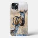 Buscar mula Fauna