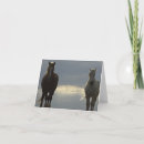Buscar proyectos fotografía Navidad