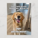 Buscar camareros postales General y unisex