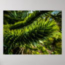 Buscar á posters Verde