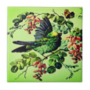 Buscar bird azulejos Colorido
