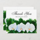 Buscar pinturas tropicales tarjetas Botánico