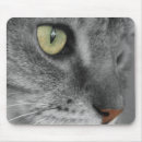 Buscar ojos verdes alfombrillas de raton Felino