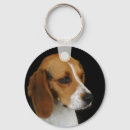 Buscar beagle llaveros Animal