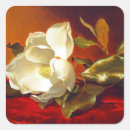 Buscar johnson pegatinas Martin johnson heade