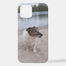 Buscar jack russell iphone fundas Aterrador
