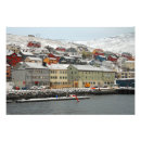 Buscar casos posters Nieve