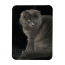 Buscar gato azul imanes Divertido