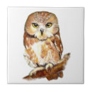Buscar owl azulejos Naturaleza