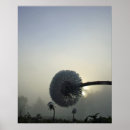 Buscar abstract photography posters Nature