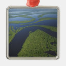 Buscar el amazonas adornos Selva