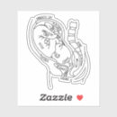 Buscar feto pegatinas Obstetricia