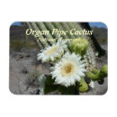 Buscar cactus del saguaro imanes Fotografía