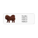 Buscar pet tarjetas e invitaciones General y unisex