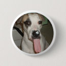 Buscar divertido chapas Perro