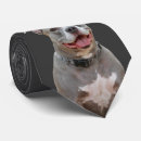 Buscar sonrisas corbatas General y unisex