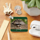 Buscar mapaches llaveros Vida silvestre