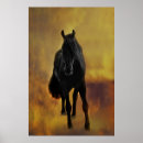 Buscar frisio posters Caballos