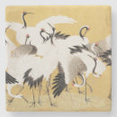Buscar pájaros posavasos General y unisex
