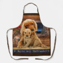 Buscar labrador retriever delantales Animales
