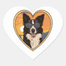 Buscar border collie pegatinas Pastoreo