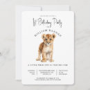 Buscar león lindo invitaciones Para todos