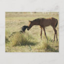 Buscar tarifa postales Exterior