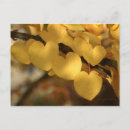 Buscar cadena postales Oro