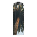 Buscar gusano termos Palmera
