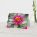 Buscar espiritualidad tarjetas Rosa