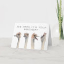 Buscar adulto tarjetas de cumpleaños Humor