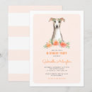 Buscar whippet Adorable