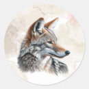 Buscar el coyote pegatinas Animales