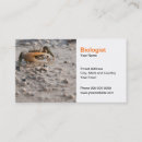 Buscar biólogos tarjetas de visita Negocio
