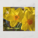 Buscar ostern postales Saludos de pascua