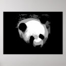 Buscar oso panda lindo posters Para ella