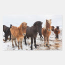Buscar equus pegatinas Superstock