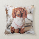Buscar poodle cojines Cachorros