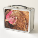 Buscar gallina almacenaje alimentos General y unisex