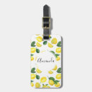 Buscar fruta etiquetas para maletas Patrón de fruta