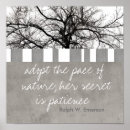 Buscar paciencia posters Naturaleza