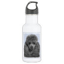 Buscar miniaturas agua botellas Perro