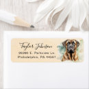 Buscar inglés etiquetas Perro