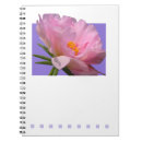 Buscar color de rosa rosado libretas General y unisex