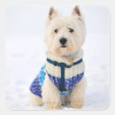 Buscar temperatura pegatinas Naturaleza