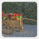 Buscar turista pegatinas Flor