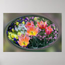 Buscar tulipanes posters Azul