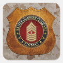 Buscar sargento pegatinas C7 insignias militares 3d