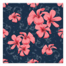 Buscar plumeria Verano